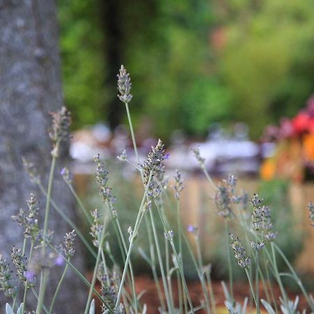 Podere La Miniera Relax & Food Siena Exterior foto